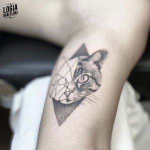 tatuaje_brazo_gato_ferran_torre_logiabarcelona  